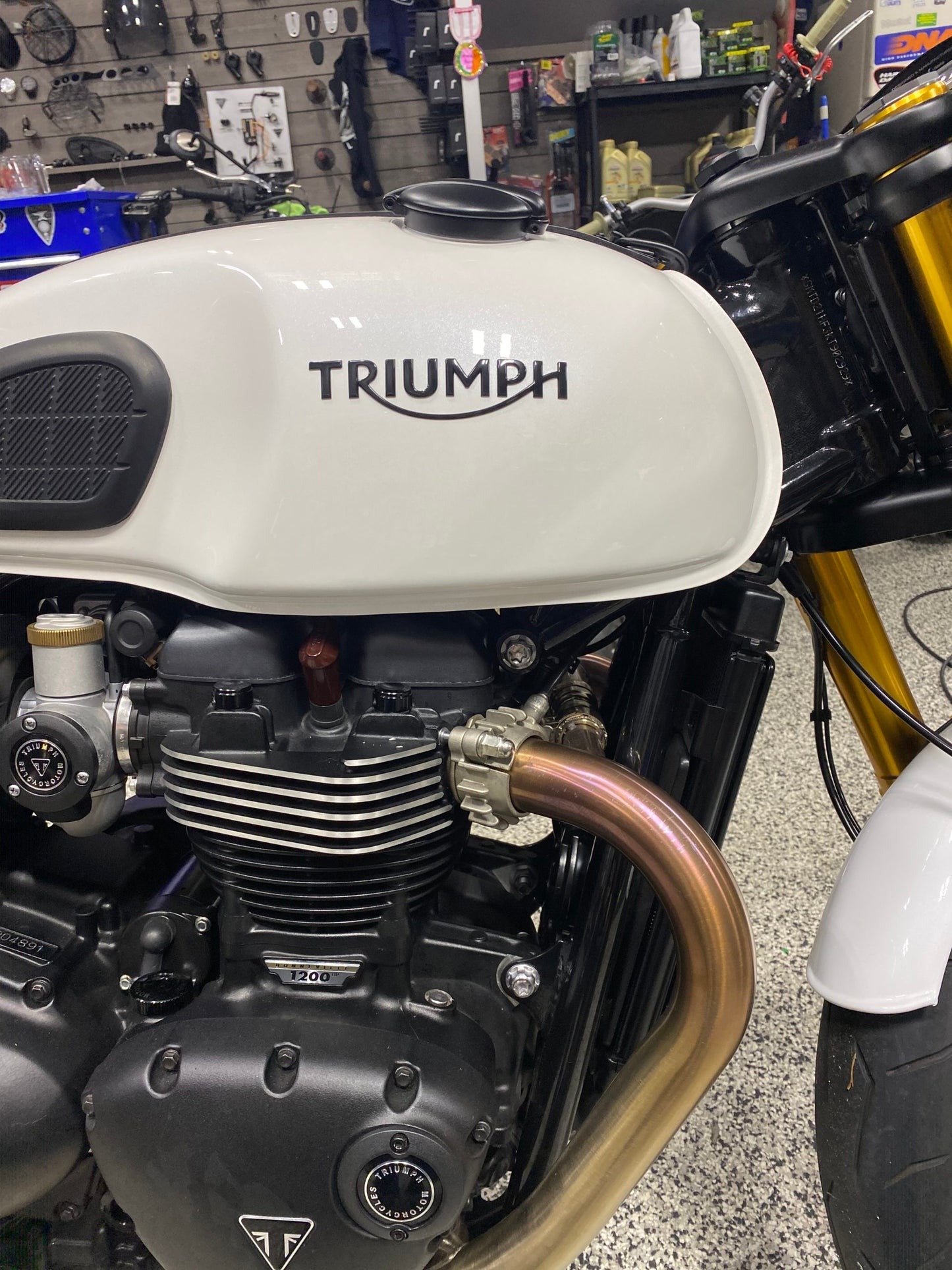 Triumph Black Tank Emblems - Pair